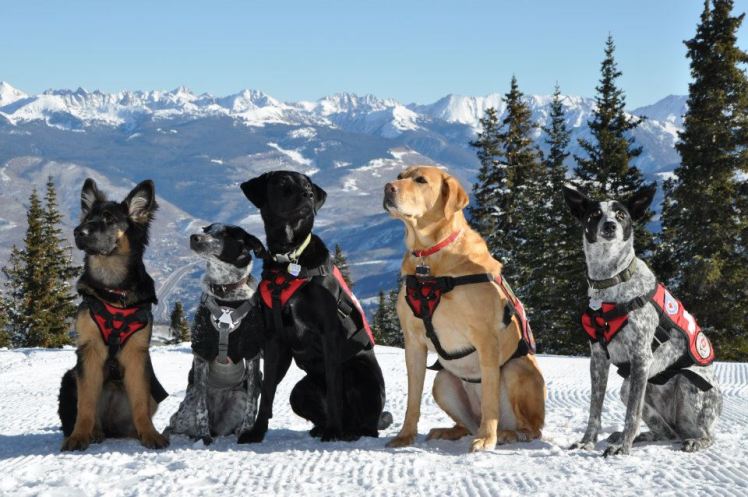 381645_2926433125206_150036258_n