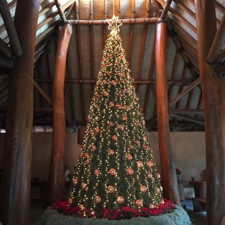 Viceroy Zihautanejo Mexico Holidays