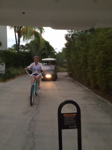 Anguilla Viceroy bikes