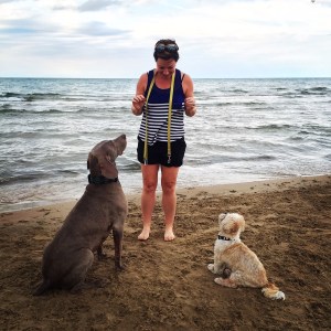 Montrose Dog Beach Chicago MonDog Lake Michigan