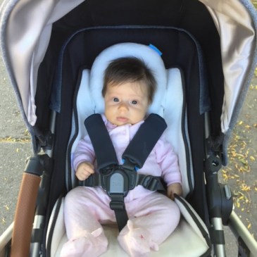 Uppa Baby Cruz Gregory