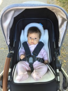 Uppa Baby Cruz Gregory