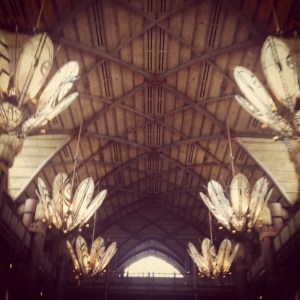 Disney's Animal Kingdom hotel Walt Disney World